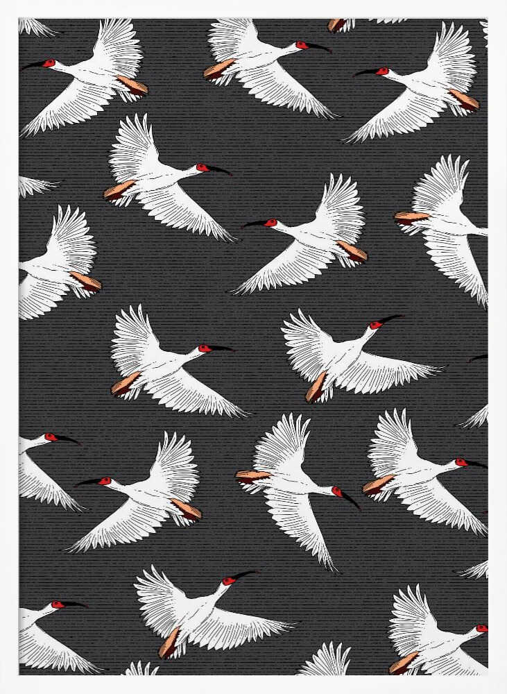 Graceful White Birds Flying