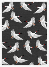 Graceful White Birds Flying