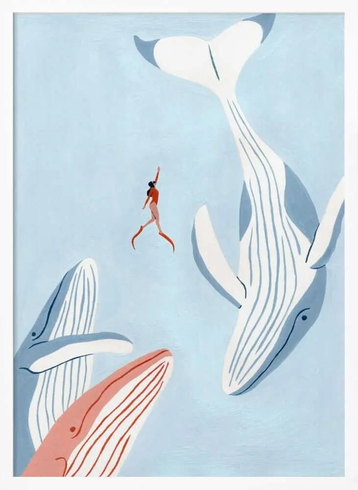 Woman And Whales Swim