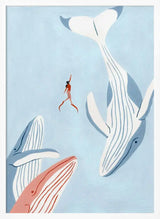 Woman And Whales Swim