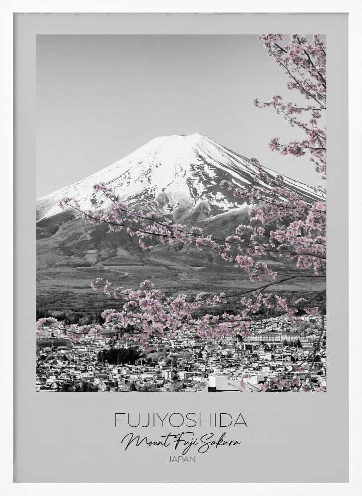 Mount Fuji Pink Sakura Melanie Viola