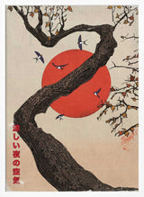 Red Sun Tree Swallows