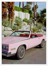 Iconic Pink Convertible Art Print UK — Botanical Vibrant Wall Art — Living Room — Wall It All Prints