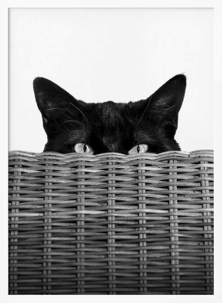 Peeking Cat Eyes Art Print UK — Abstract Dark Wall Art — Living Room — Wall It All Prints