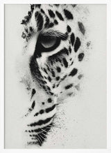 Intense Leopard Gaze