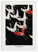 A Myriad of Flying Cranes