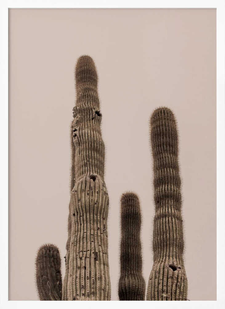 Tall Saguaro Cacti Art Print UK — Botanical Calm Wall Art — Bedroom — Wall It All Prints