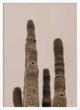 Tall Saguaro Cacti Art Print UK — Botanical Calm Wall Art — Bedroom — Wall It All Prints