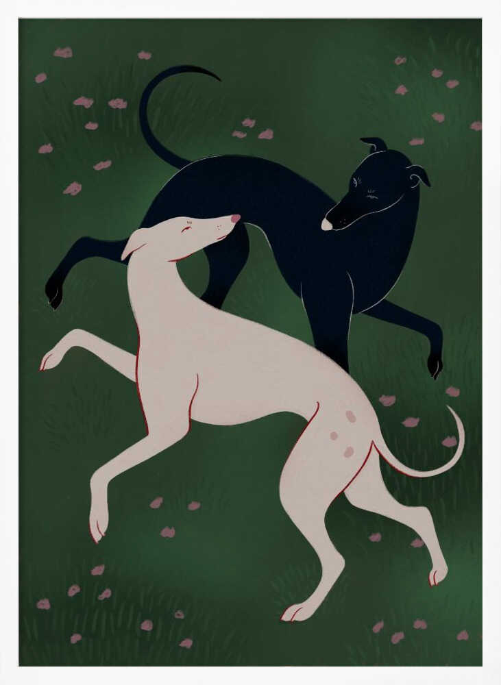 Elegant Greyhound Pair
