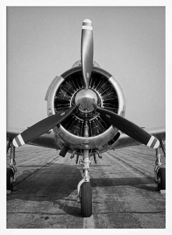 Polished Vintage Aircraft