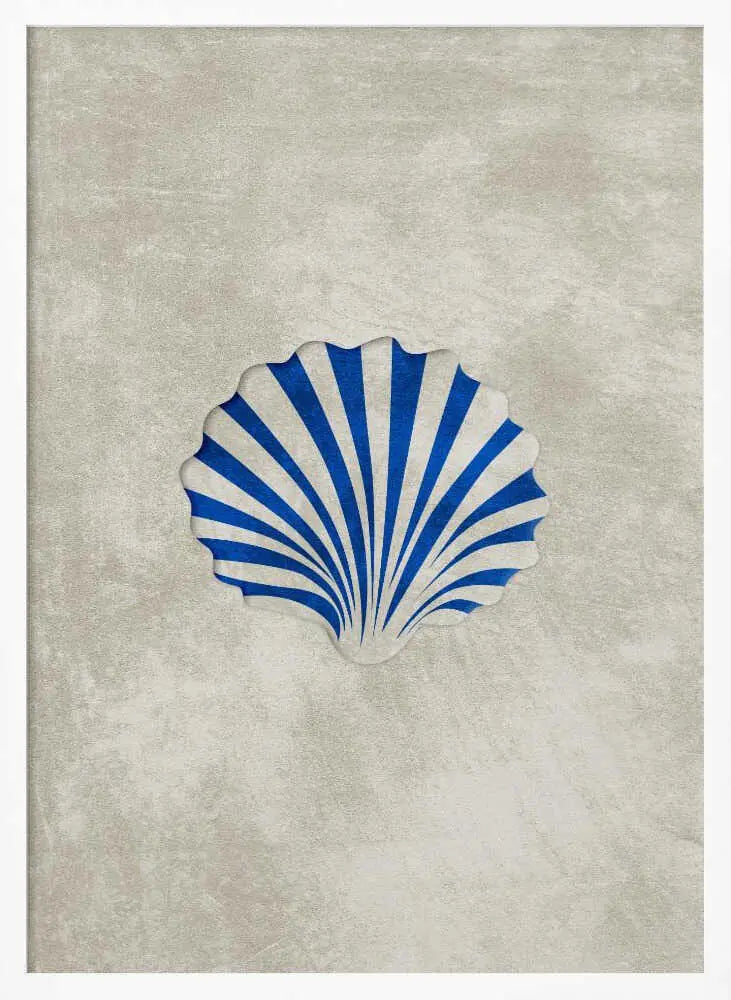 Blue Striped Scallop