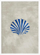 Blue Striped Scallop