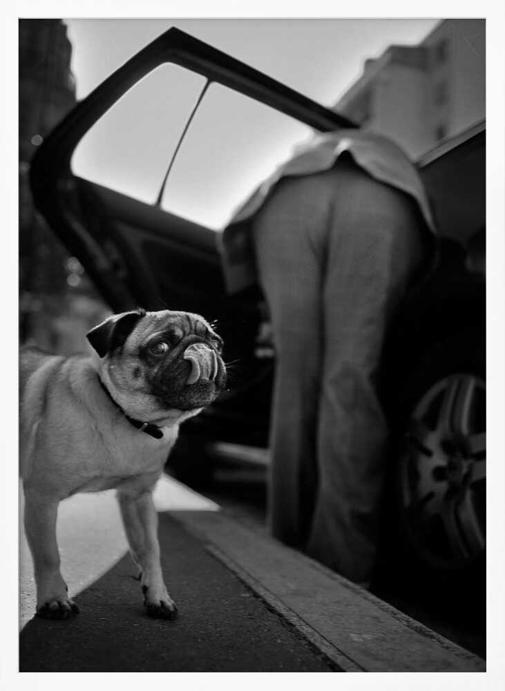 Pug's Funny Moment Art Print UK — Vintage Dark Wall Art — Living Room — Wall It All Prints