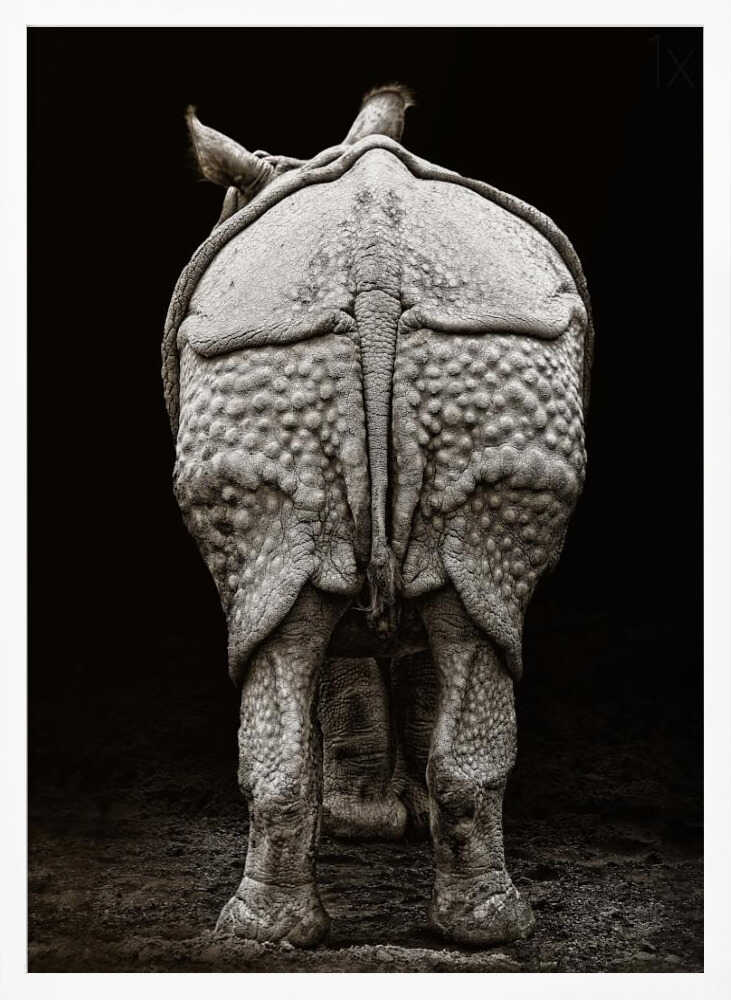 Textured Rhino Back Art Print UK — Dark Moody Dark Wall Art — Living Room — Wall It All Prints