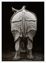 Textured Rhino Back