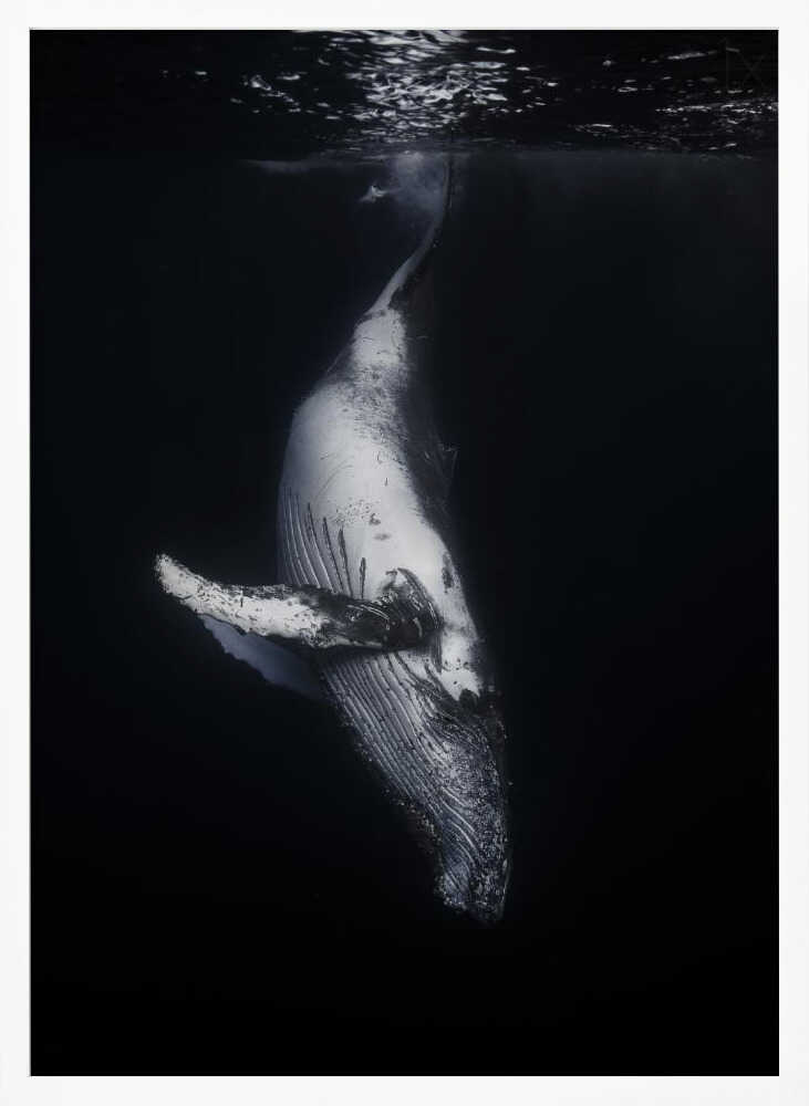 Whale In The Deep Art Print UK — Dark Moody Dark Wall Art — Living Room — Wall It All Prints