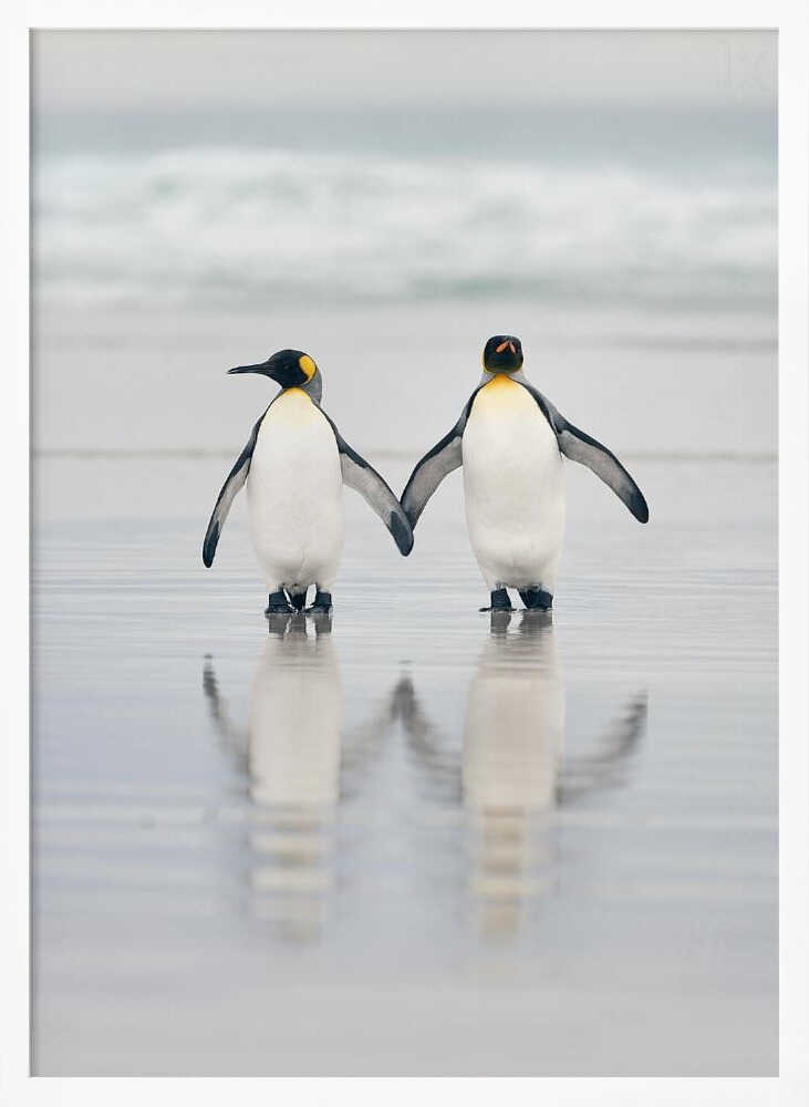 Loving Penguin Couple Art Print UK — Landscape Calm Wall Art — Bedroom — Wall It All Prints