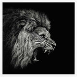 Fierce Roaring Lion