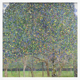 Pear Tree (1903)