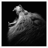 Majestic Roaring Lion Art Print UK — Dark Moody Dark Wall Art — Living Room — Wall It All Prints