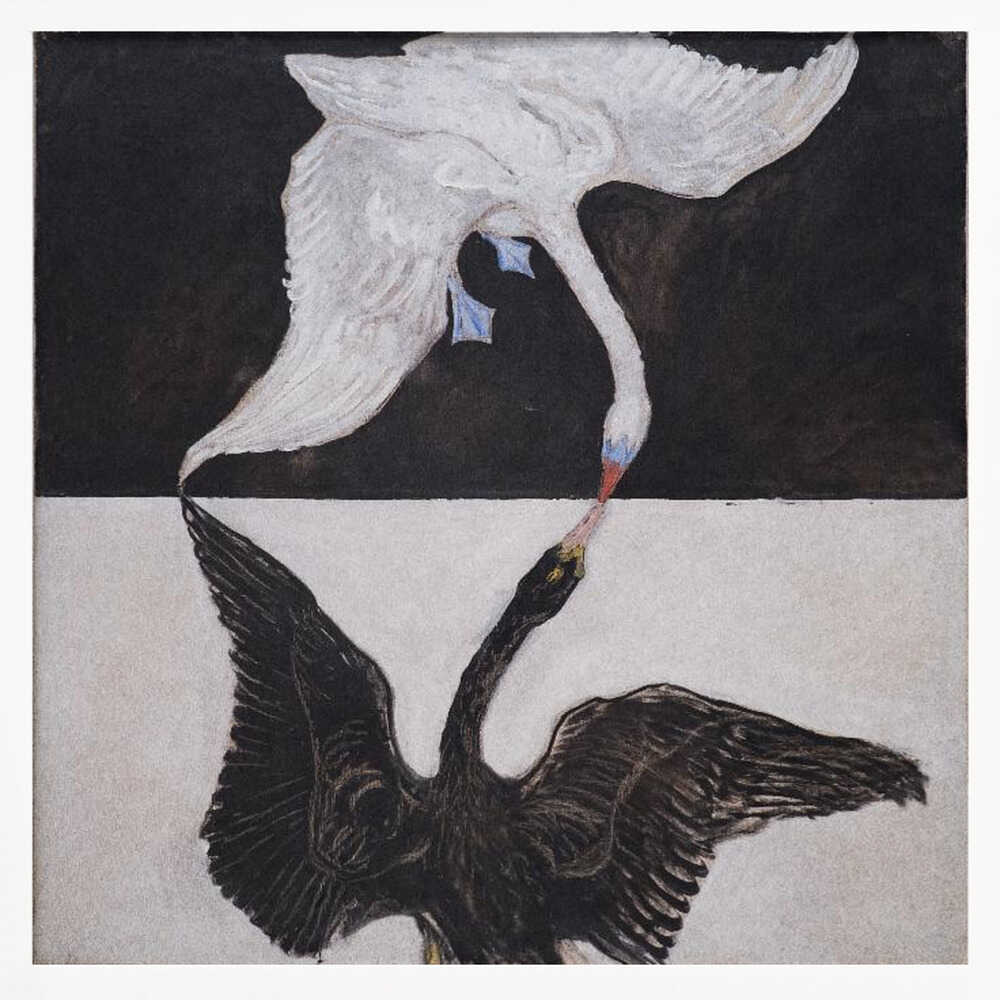 Hilma Af Klint   the Swan