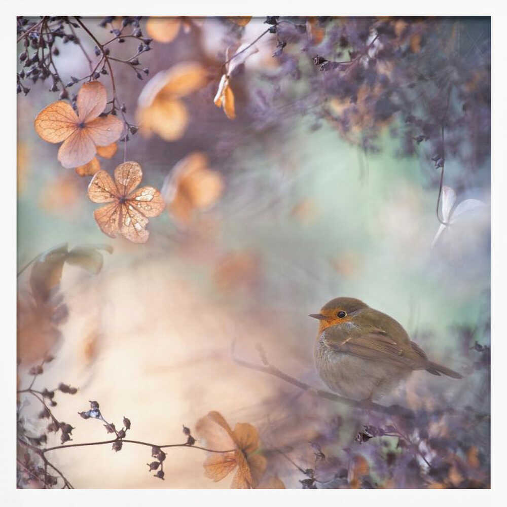 Dreamy Autumn Robin Art Print UK — Botanical Calm Wall Art — Bedroom — Wall It All Prints