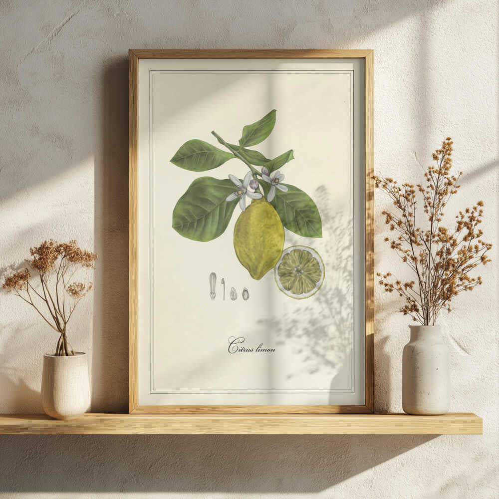 Lemon and Blossoms Art Print UK — Botanical Vibrant Wall Art — Kitchen — Wall It All Prints