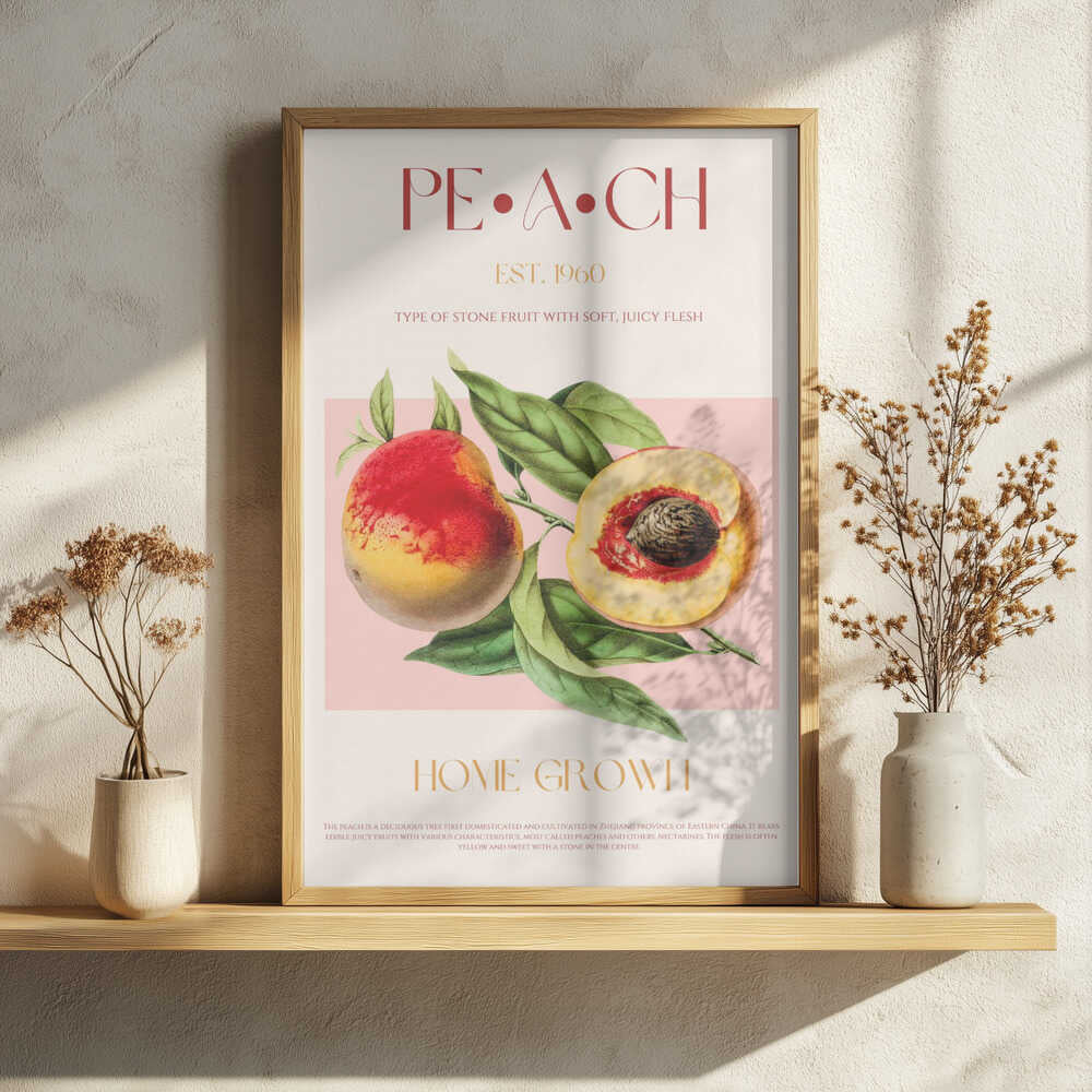 Vintage Peach Botanical Art Print UK — Botanical Fresh Wall Art — Kitchen — Wall It All Prints