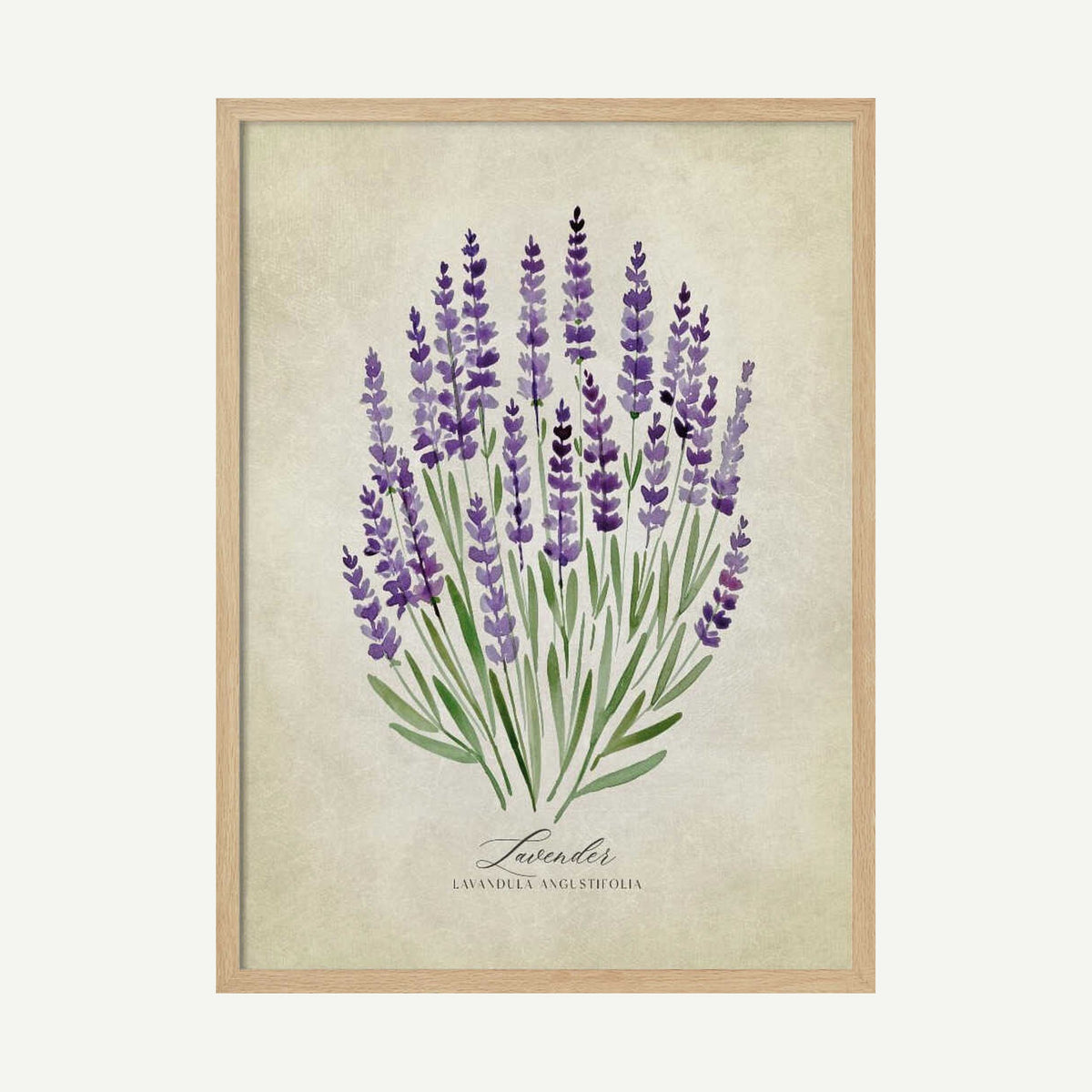 Purple Lavender Botanical Art Print UK — Botanical Fresh Wall Art — Kitchen — Wall It All Prints